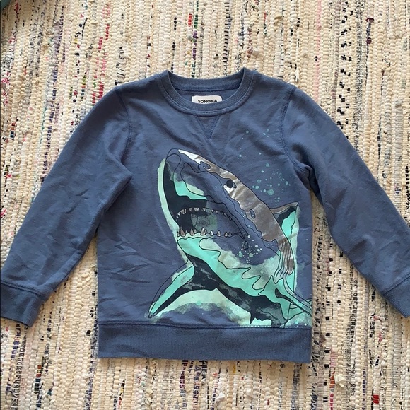 Boys t-shirts, lightweight sweatshirt, & 2 tanks - Picture 8 of 8